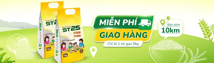 gạo ngon