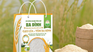 Gạo ST25 giá bao nhiêu 10kg?