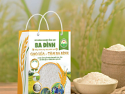 Gạo ST25 giá bao nhiêu 10kg?